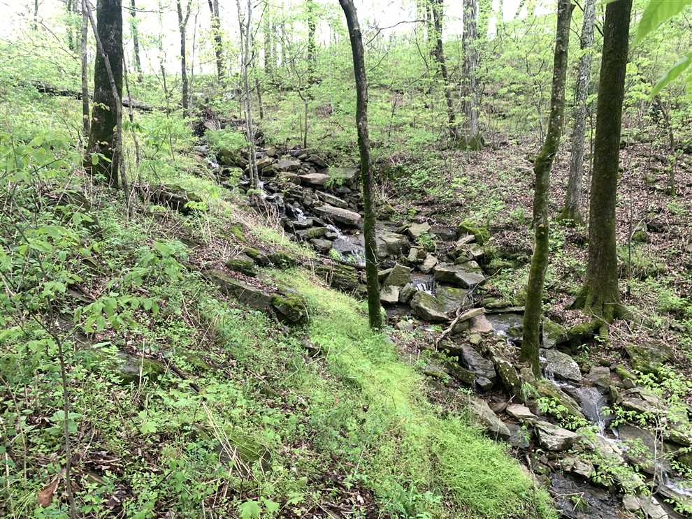 Flat Rock 10 Acres Corners National Forest Real estate listing