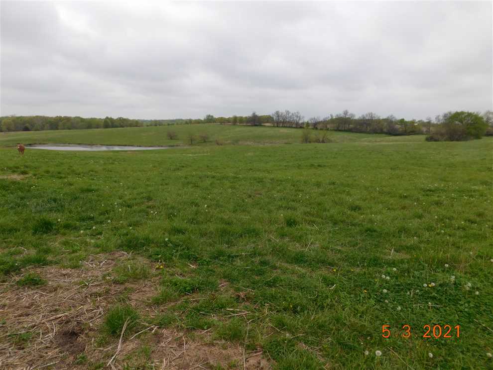 ***Cute Caldwell County Farmhouse with Fenced Pasture*** Real estate listing
