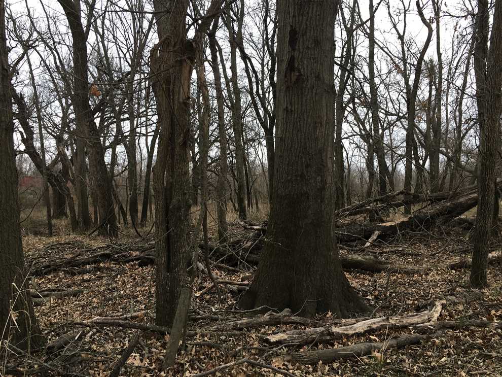 montgomery County, Kansas property for sale
