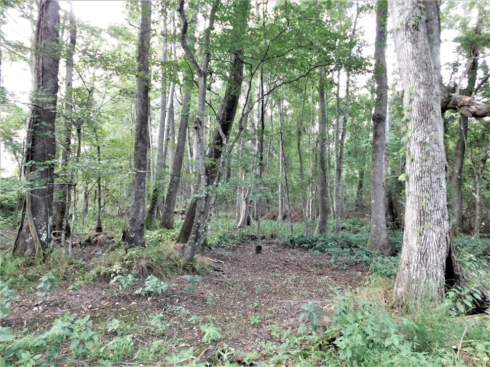 Houses and land for sale in South Carolina