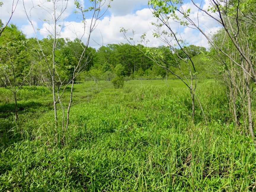 50 Acres of Residential land for sale in Oak Grove, west carroll County, Louisiana