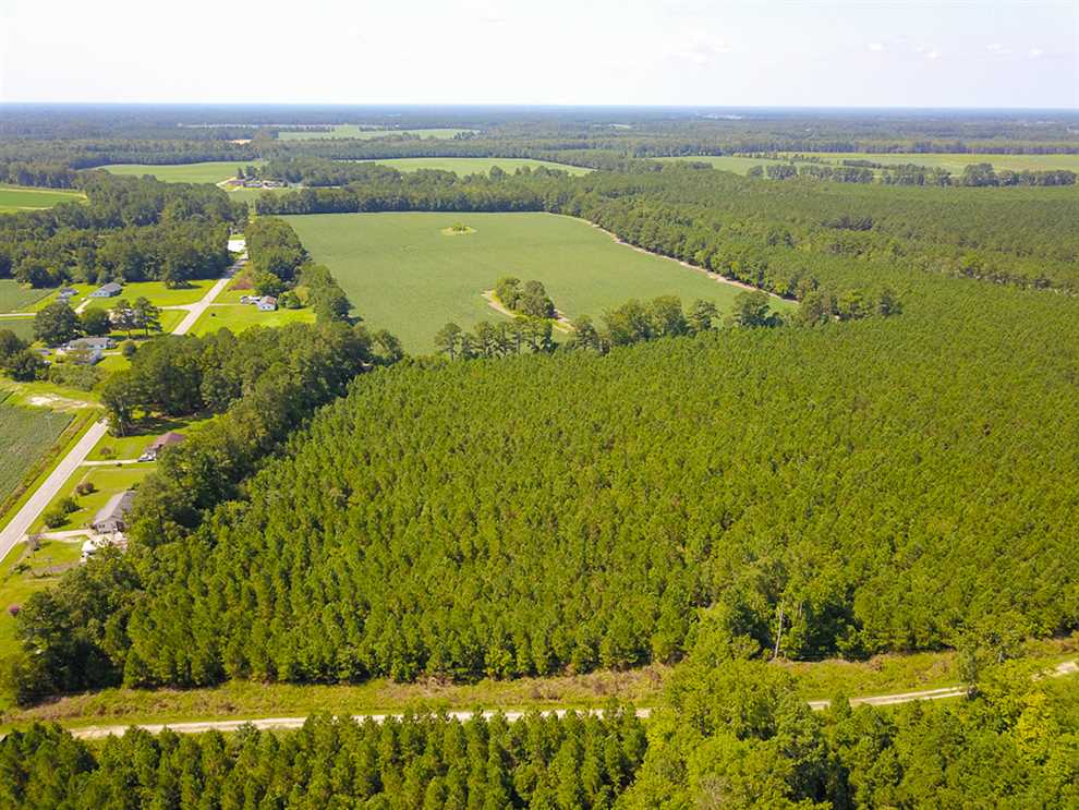Land for sale to buy in 27847 zip code