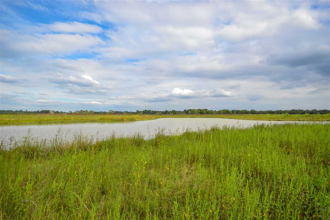 property for sale on The Land Market