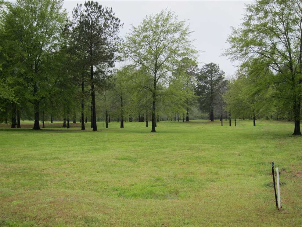 5 Acres of Land for sale in union County, Louisiana