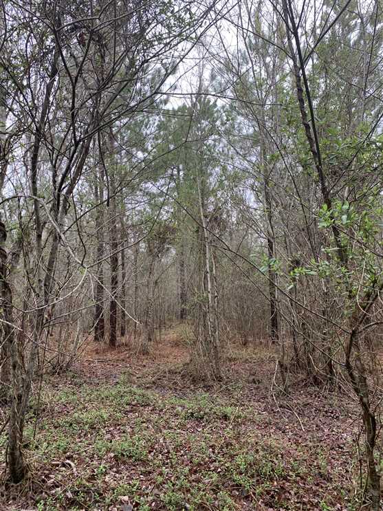 Recreational real estate available to buy