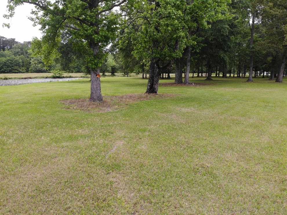 Recreational and   property for sale on The Land Market