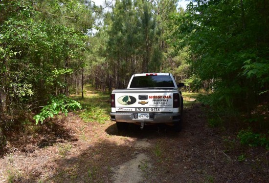 58.57 Acres of Land for Sale in nevada County Arkansas