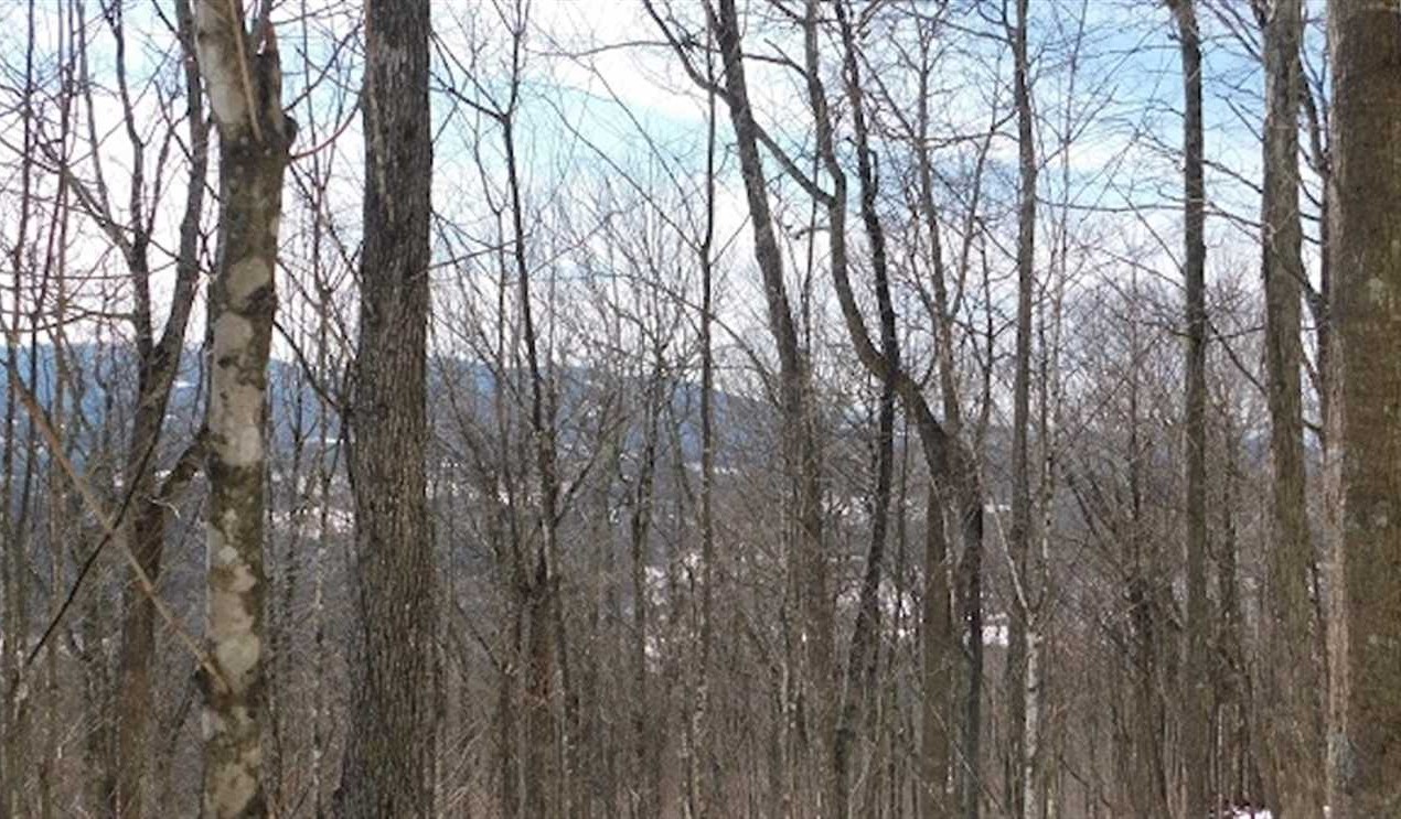 3.04 Acres of Land for sale in grayson County, Virginia