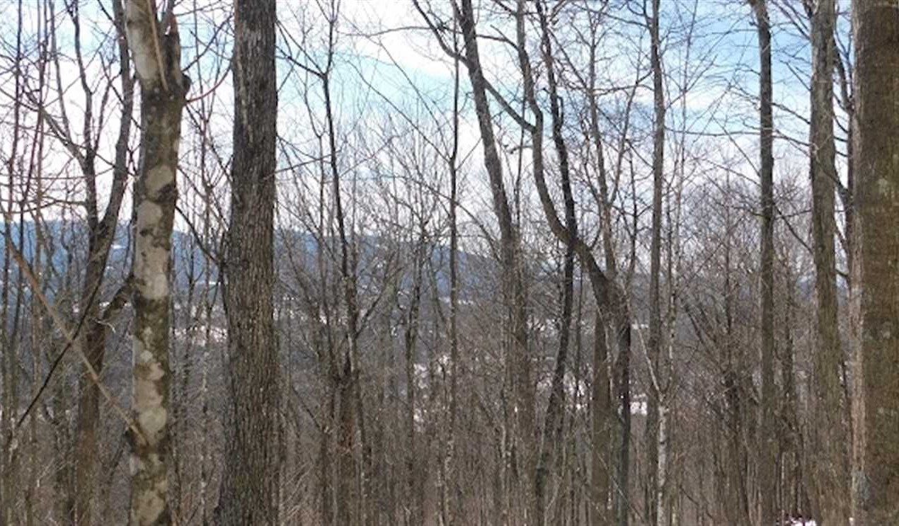 3.04 Acres of Land for sale in grayson County, Virginia