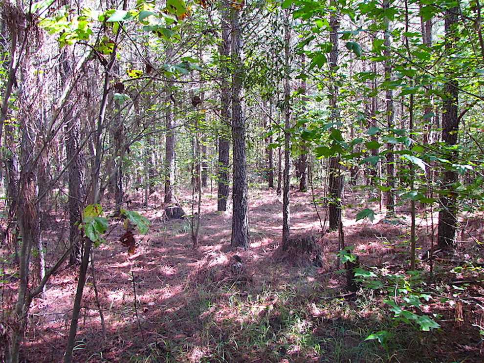 Houses and land for sale in Virginia