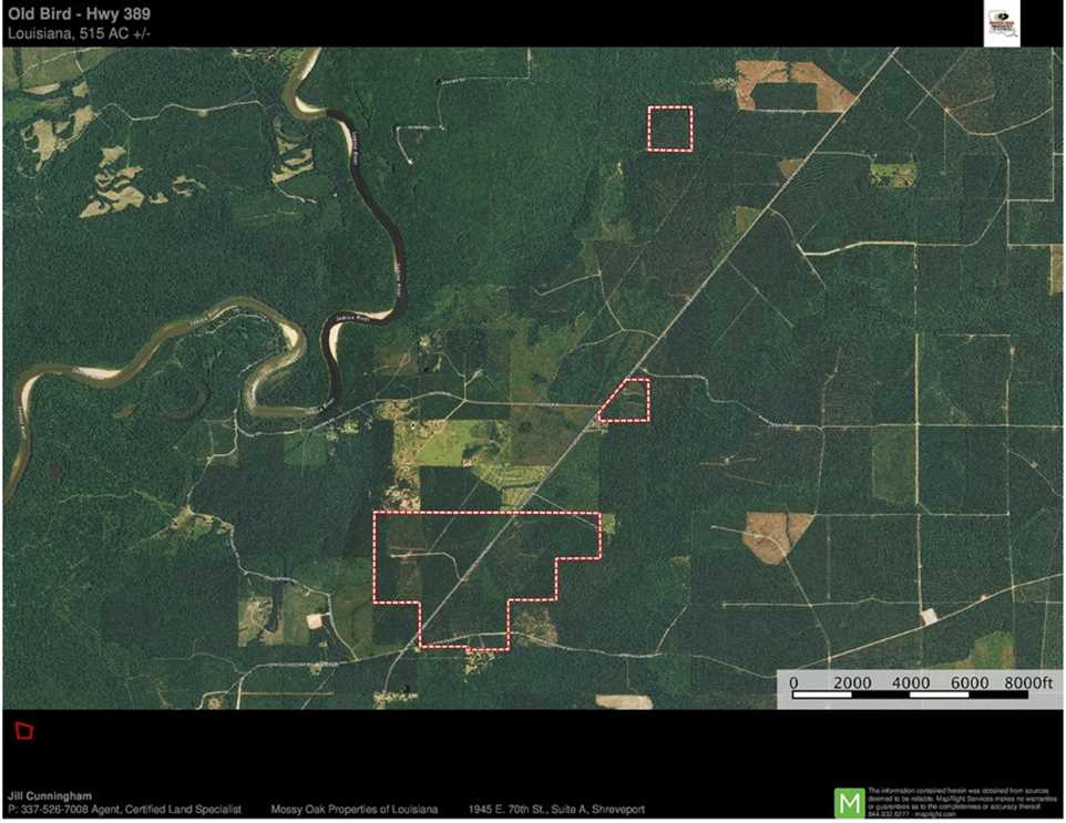 Land for sale at
