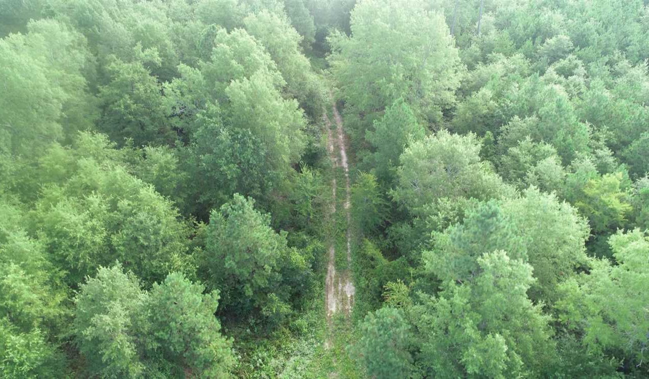 358 Acres of Land for Sale in miller County Arkansas