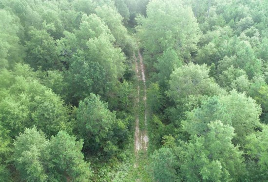 358 Acres of Land for Sale in miller County Arkansas