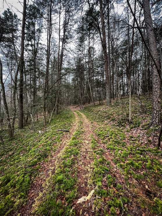 11.96+/- acres in Hudson, Caldwell County Real estate listing