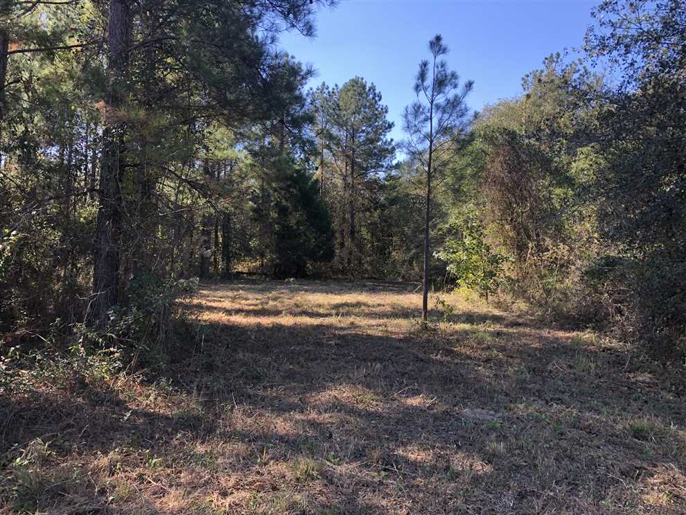 dooly County, Georgia property for sale