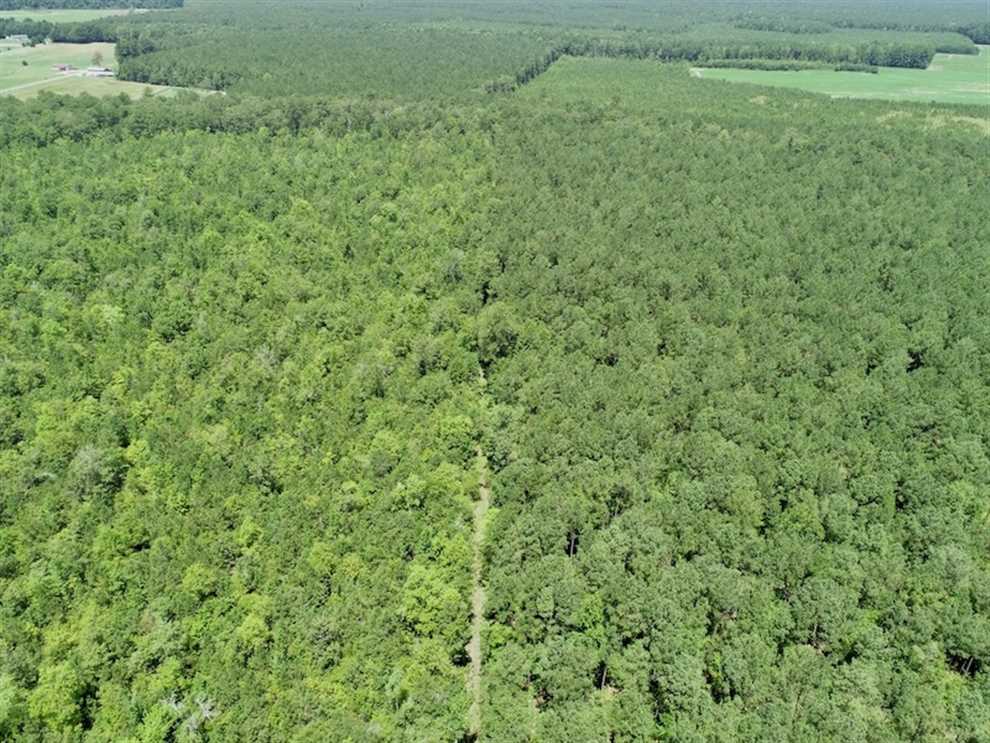 12.59 Acres of Land for sale in gates County, North Carolina