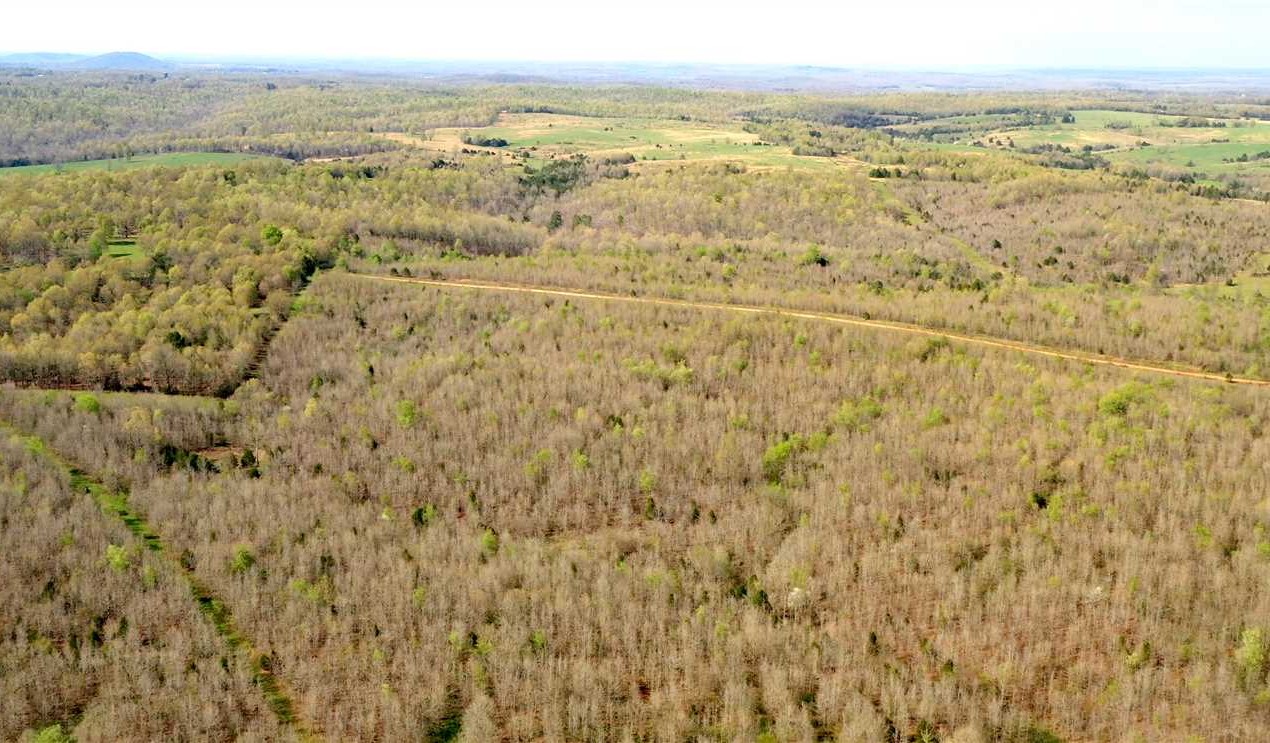 130 Acres of Recreational land for sale in Salem, fulton County, Arkansas