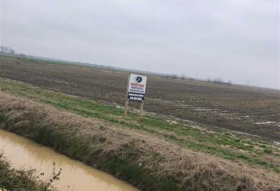 40 Acres of Land for Sale in craighead County Arkansas