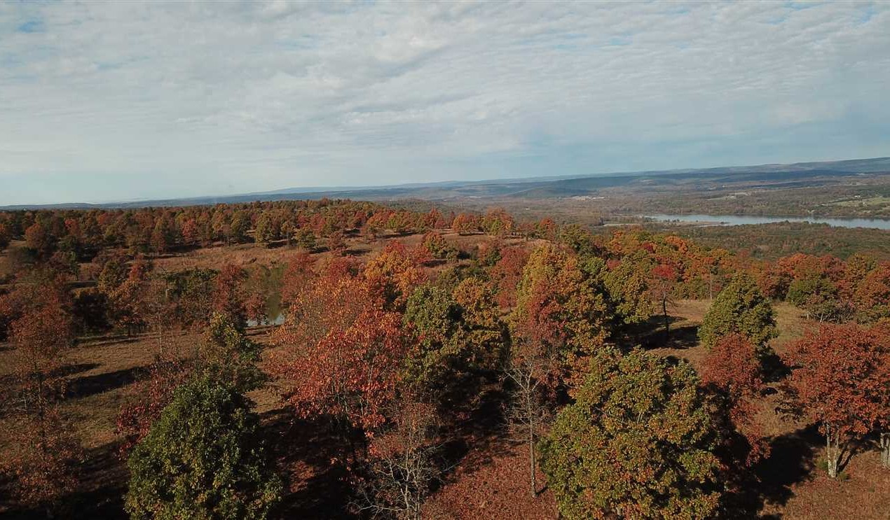 Land for sale at