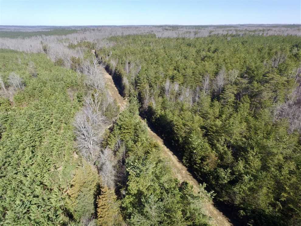 29 Acres of Land for sale in lunenburg County, Virginia