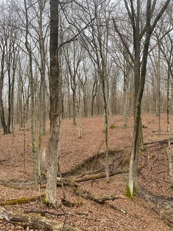 19+/- Acres - Franklin County, IN - Land for Sale Real estate listing