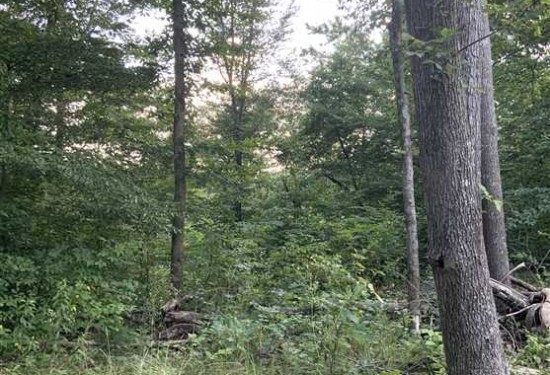 139.69 Acres of Land for Sale in hickman County Tennessee