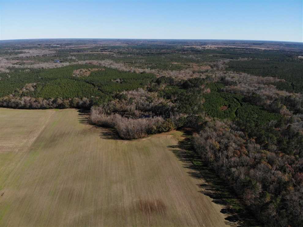 Residential and   property for sale on The Land Market