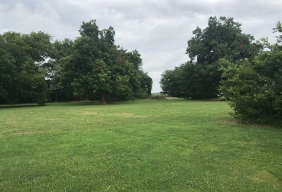 2 Acres of Land for Sale in tensas County Louisiana