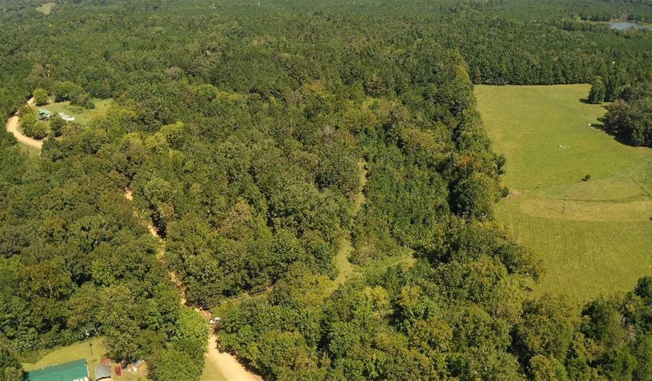 23.63 Acres of Land for Sale in oktibbeha County Mississippi