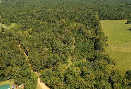 23.63 Acres of Land for Sale in oktibbeha County Mississippi
