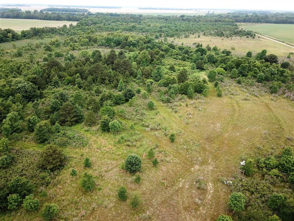 80 Acres of Recreational land for sale in Holly Grove, monroe County, Arkansas