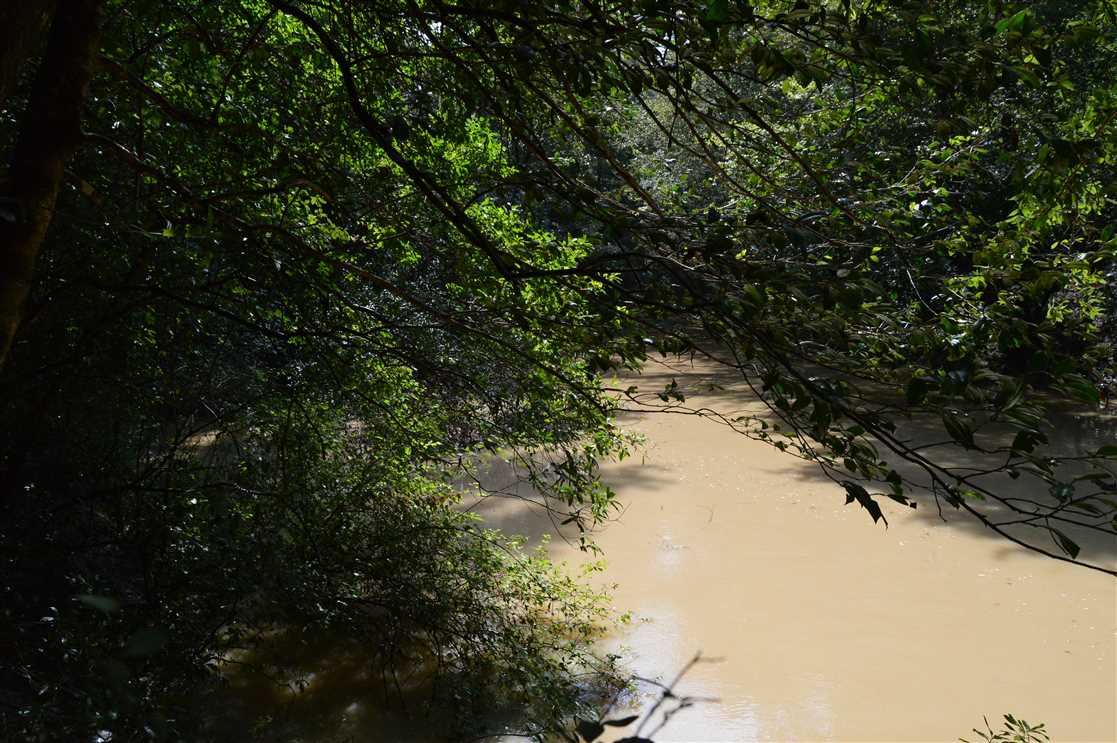 435 Acres of Land for sale in pearl river County, Mississippi