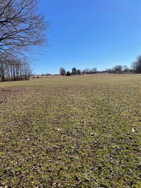 130 Acres of Recreational land for sale in Myrtle, union County, Mississippi