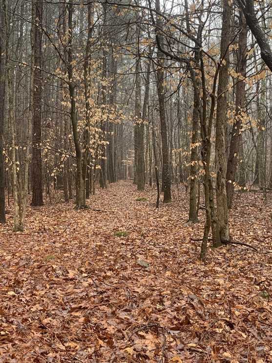 Land for sale at 000 Toms Creek Church Road