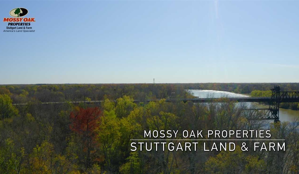 Land for sale at