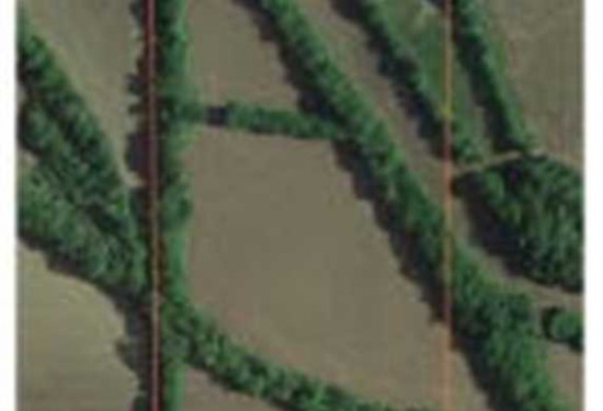22 Acres of Land for Sale in lee County Mississippi