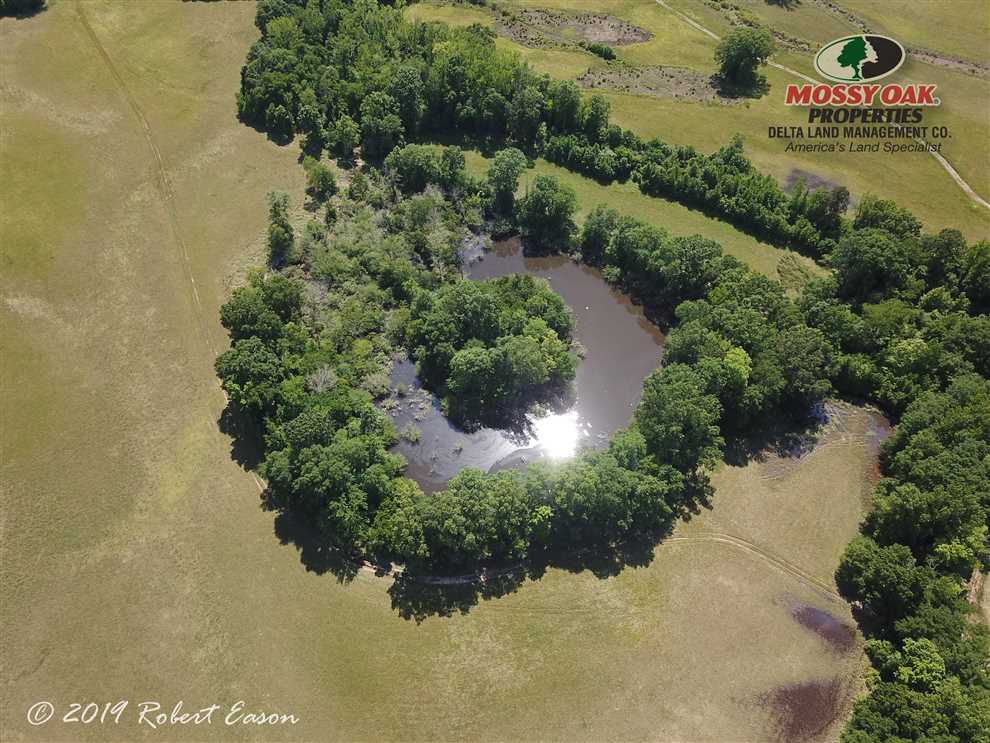 307 Acres of Recreational land for sale in Haskell, saline County, Arkansas