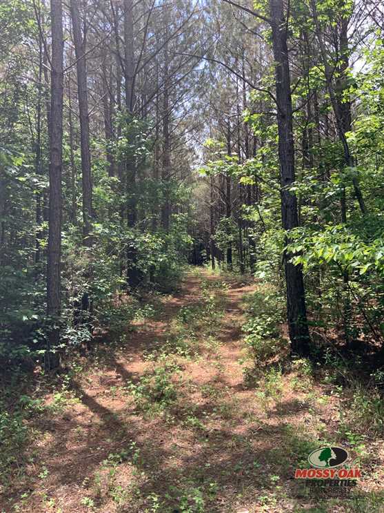 49 Acres of Land for sale in calloway County, Kentucky