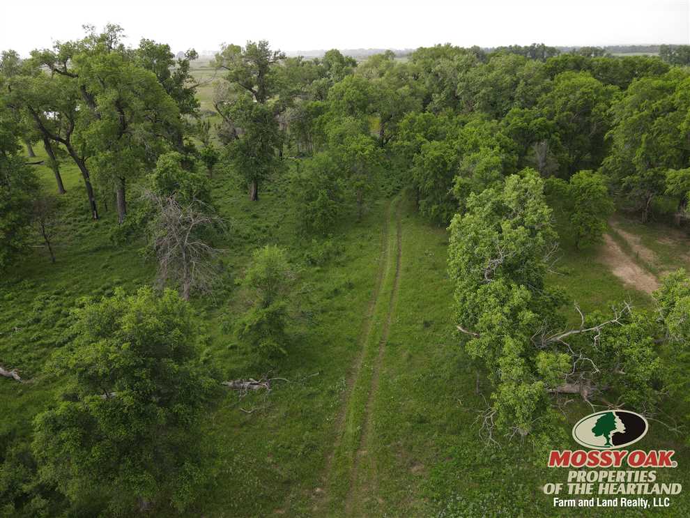 Farmland real estate available to buy