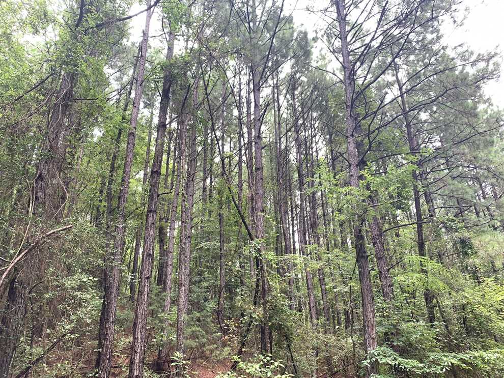 1148 Acres of Land for sale in hot spring County, Arkansas