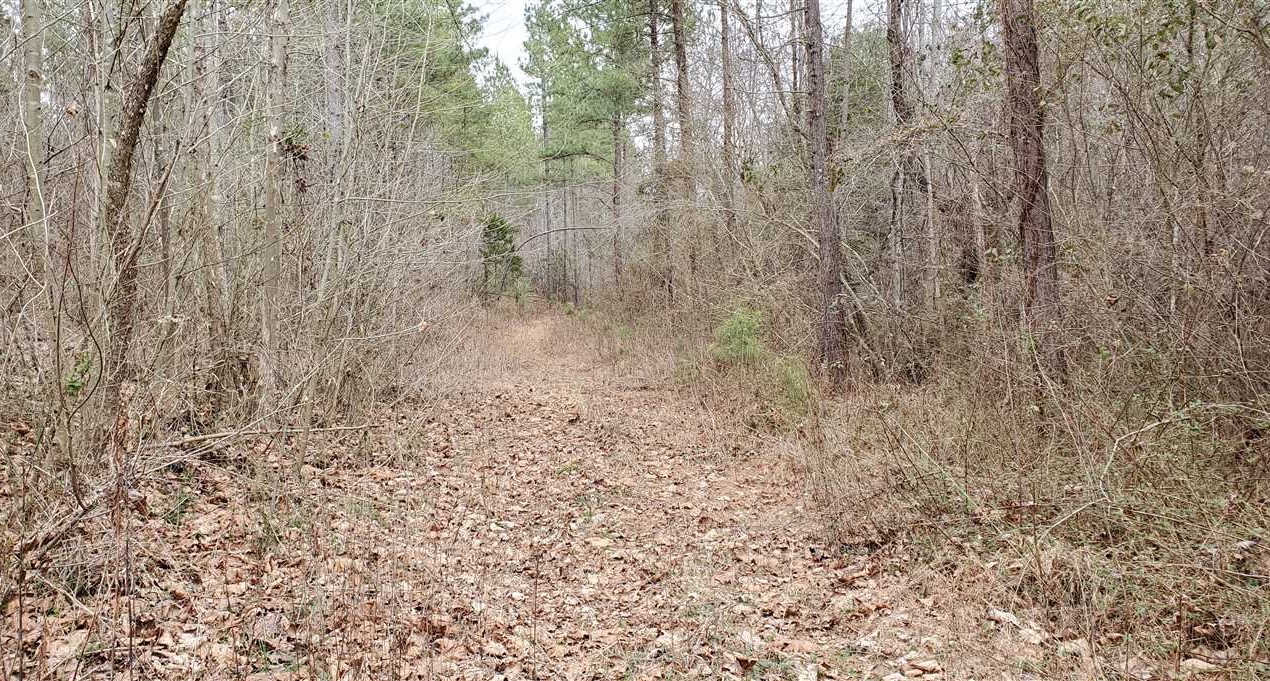 Land for sale at 1279 Moriah School Road