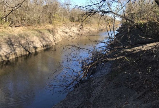 1491 Acres of Land for Sale in titus County Texas