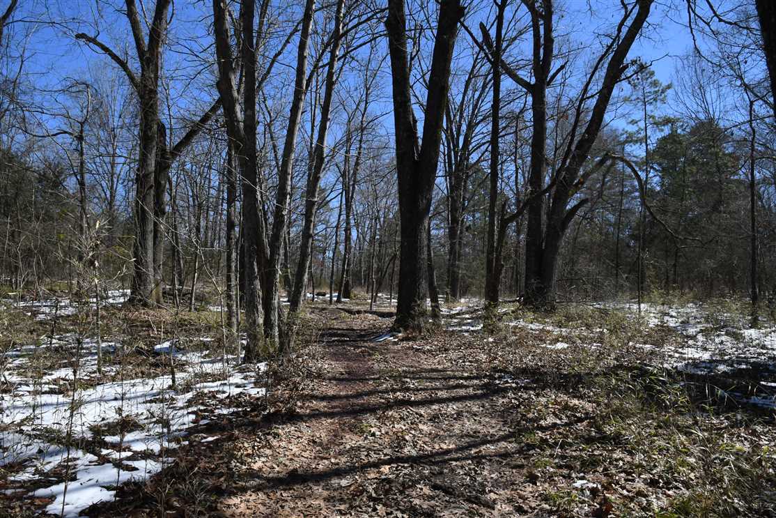 faulkner County, Arkansas property for sale