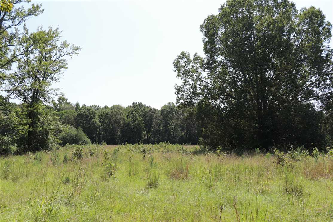 40 +/- Acre Searcy, AR Residential/Development Tract Real estate listing