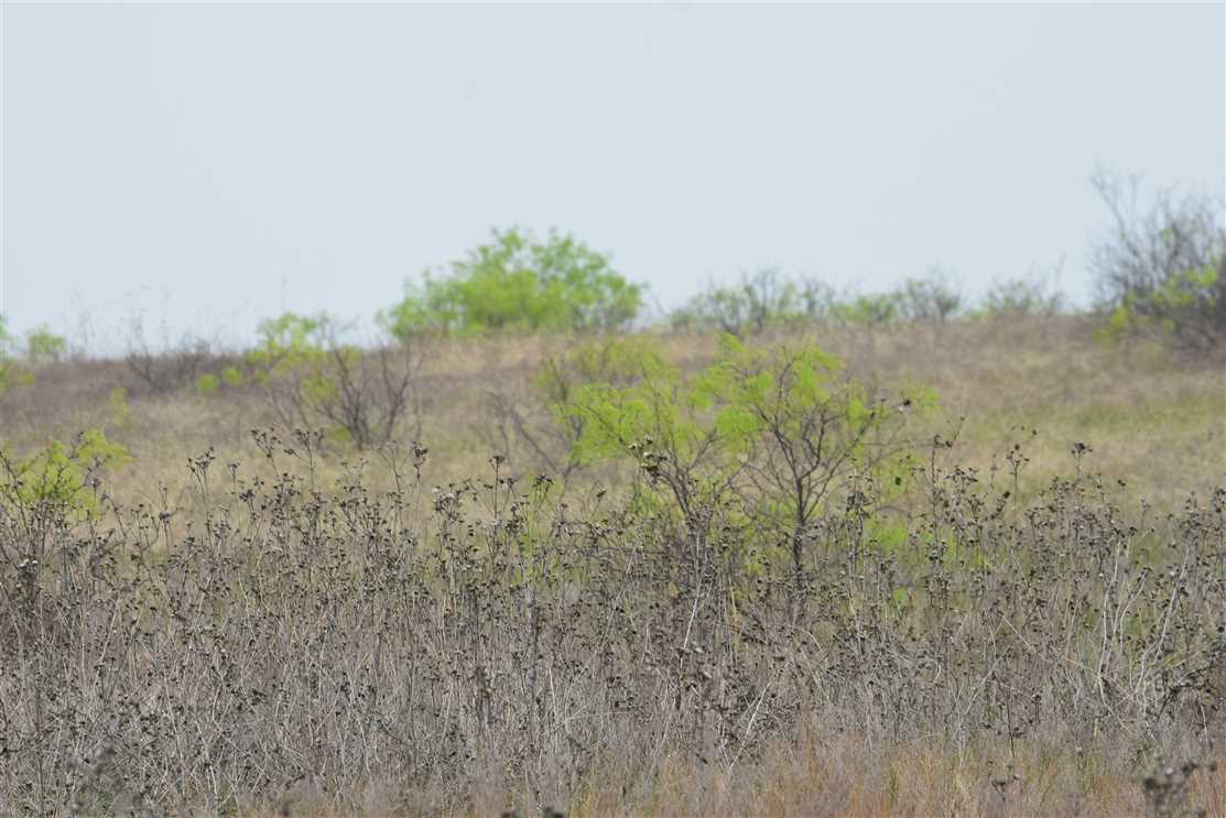 Houses and land for sale in Texas