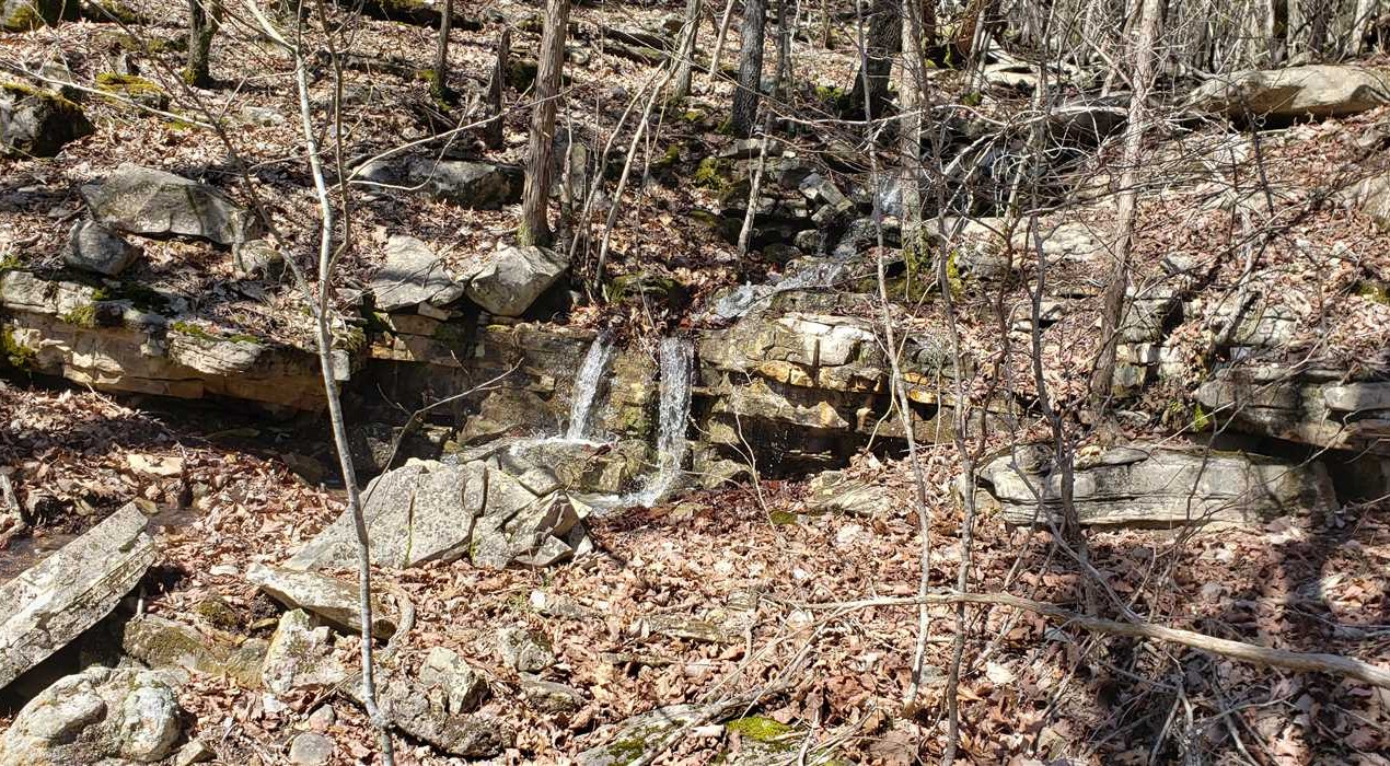 taney County, Missouri property for sale