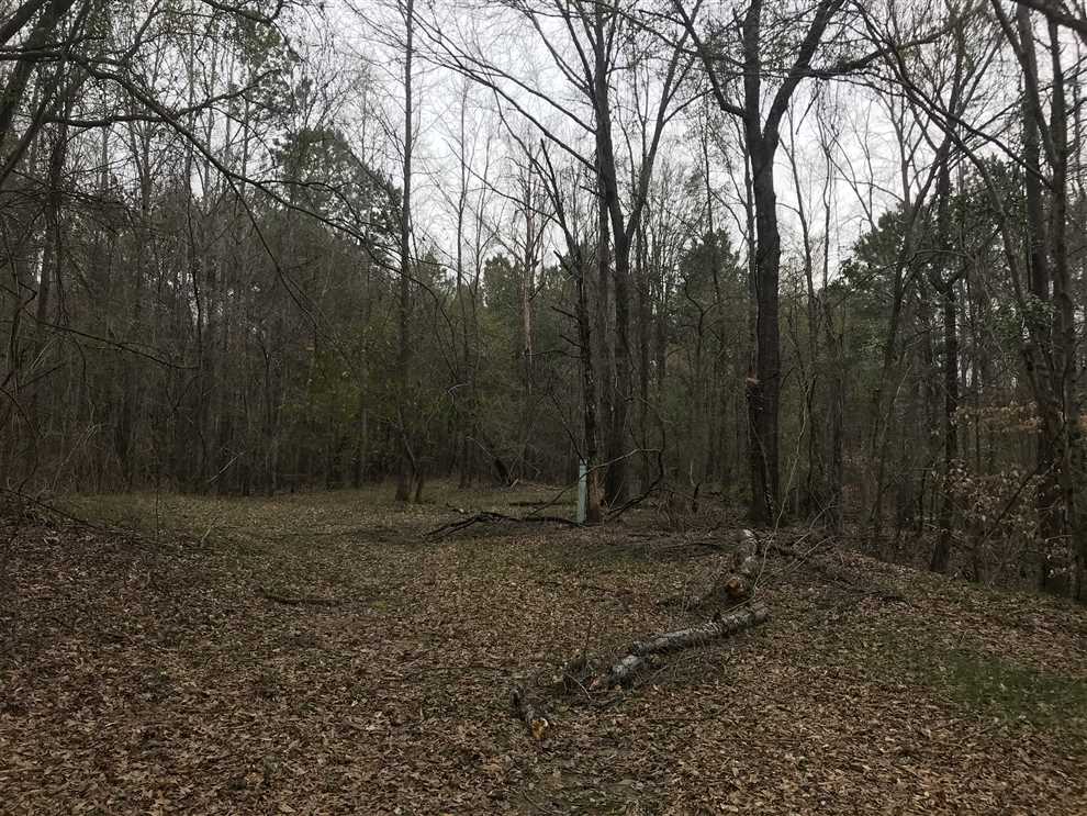 Timberland real estate available to buy