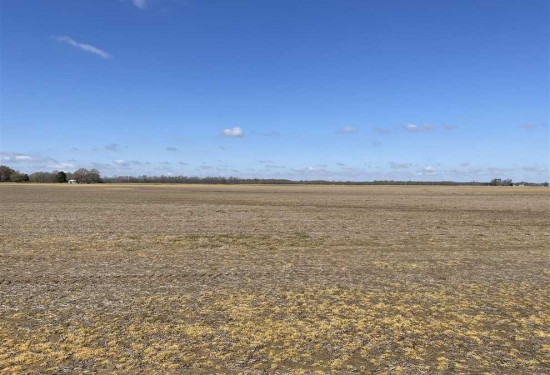 70 Acres of Land for Sale in quitman County Mississippi