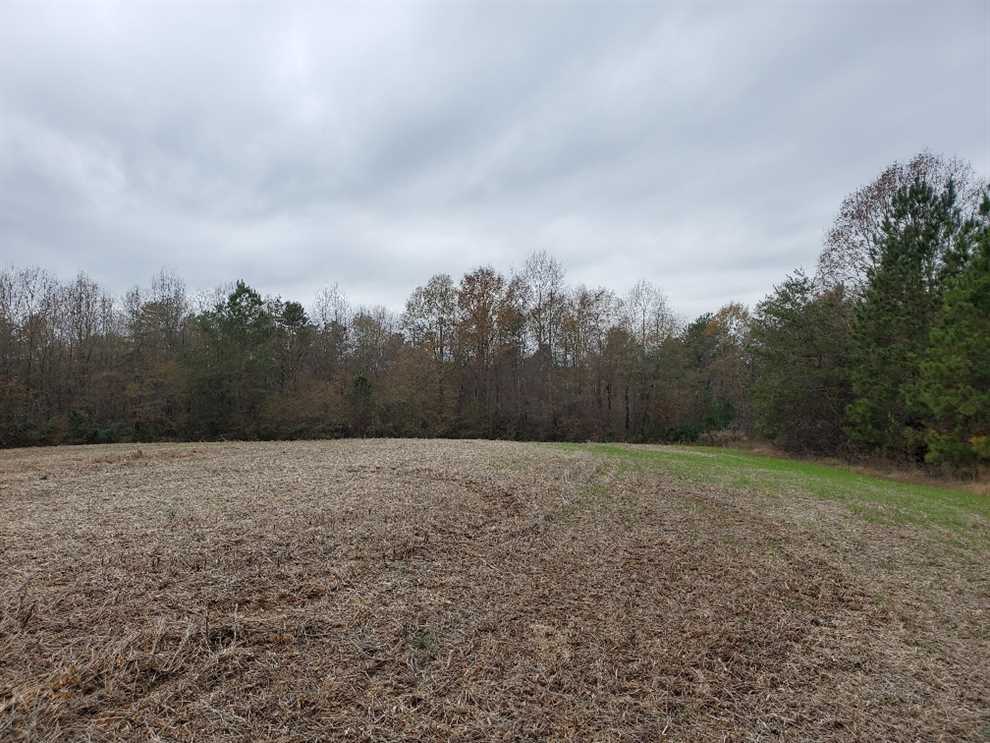 33 Acres of Land for sale in cleveland County, North Carolina