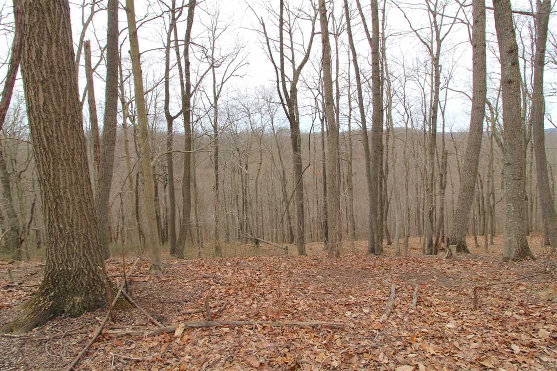 48.24 Acres of Recreational land for sale in New Matamoras, washington County, Ohio